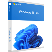 windows_11_pro